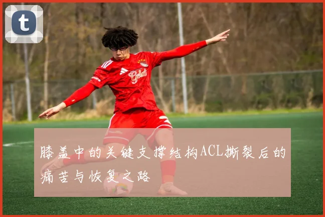 膝盖中的关键支撑结构ACL撕裂后的痛苦与恢复之路